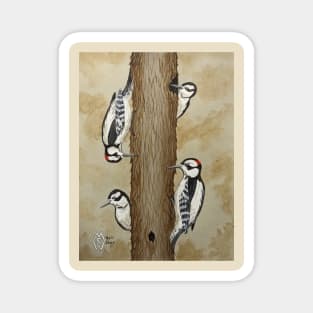 Downy woodpeckers in the forest Magnet