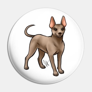 American Hairless Terrier - Gold Pin