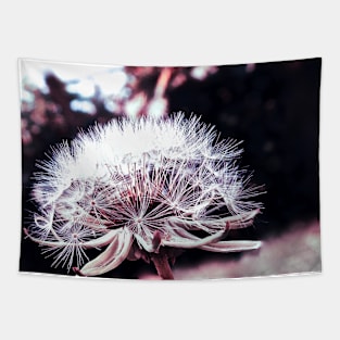 Dandelion flower photos Tapestry