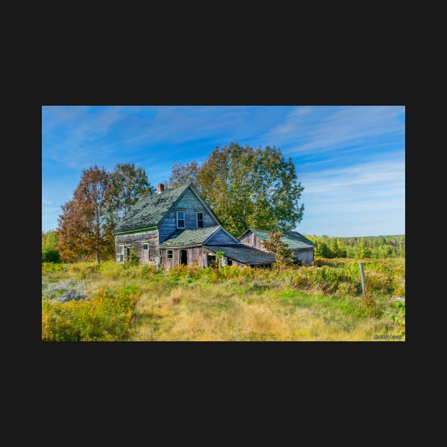 Abandoned House, Wentworth Valley, Nova Scotia by kenmo