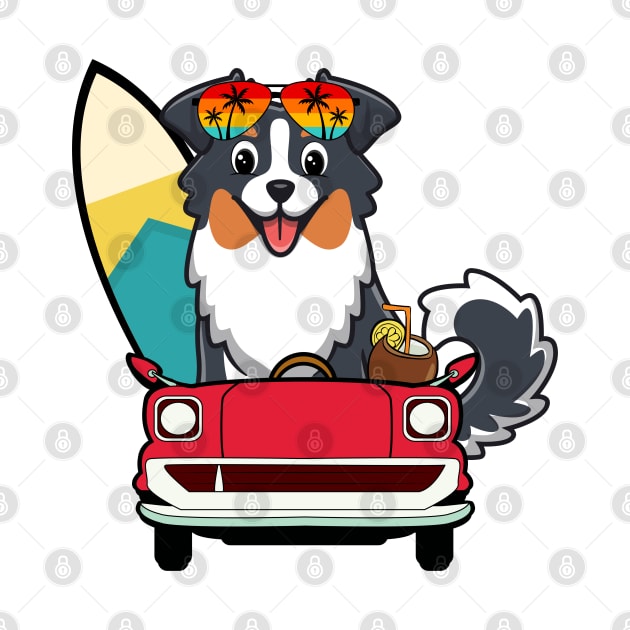 Funny Collie Dog is driving to the beach by Pet Station