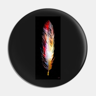 Colorful Feather Pin