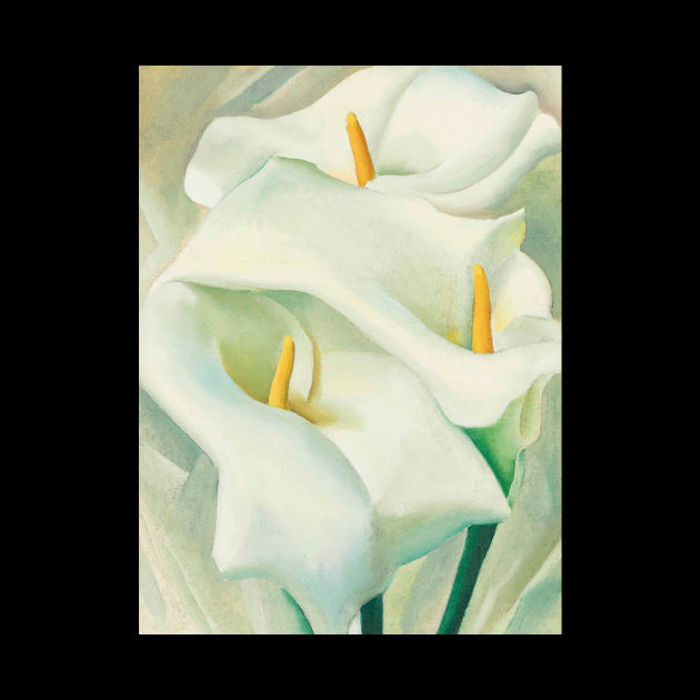 High Resolution Calla Lilies by O'Keeffe Okeeffe