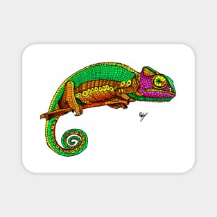 Chameleon Reptile colorful cheerful author Magnet