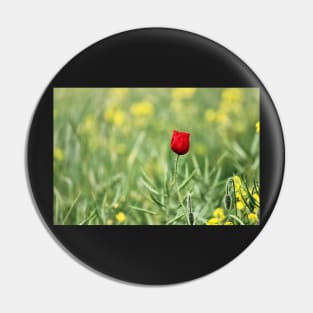 One Red Poppy Pin