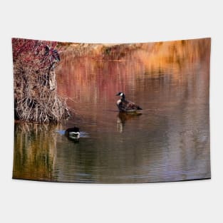 Canada geese on the pond. Tapestry