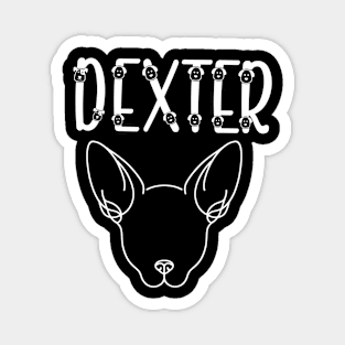 Dog name design for your puppy Dexter Magnet