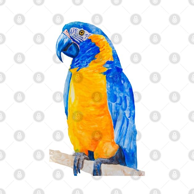 blue throated macaw parrot bresil watercolor art print by Oranjade0122