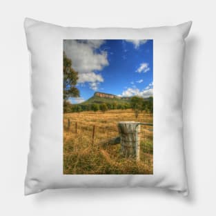 Gardens of Stone Pillow