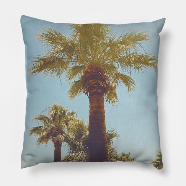 Pretty picture of a Palm Tree. Pretty Palm Trees Photography design with blue sky Pillow by BoogieCreates