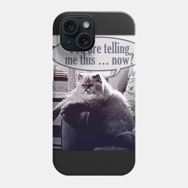 You are telling me this ... now? Phone Case by RobertBretonArt