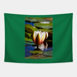 Water Lily Tapestry