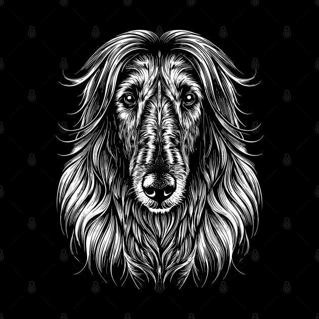 Afghan Hound Dog Portrait White on Black by Ravenglow