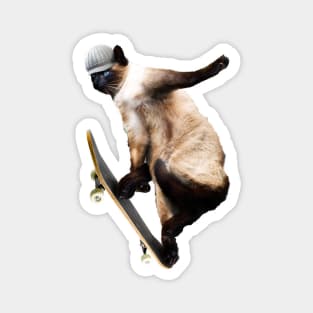 Siamese Cat Kitty Skateboard Skating Skateboarding Funny Magnet