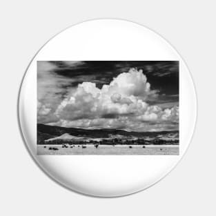 Colorado Cattle Ranch In Black and White Pin