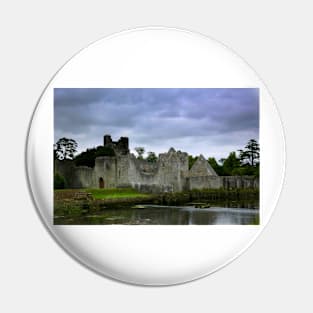 Desmond Castle Pin