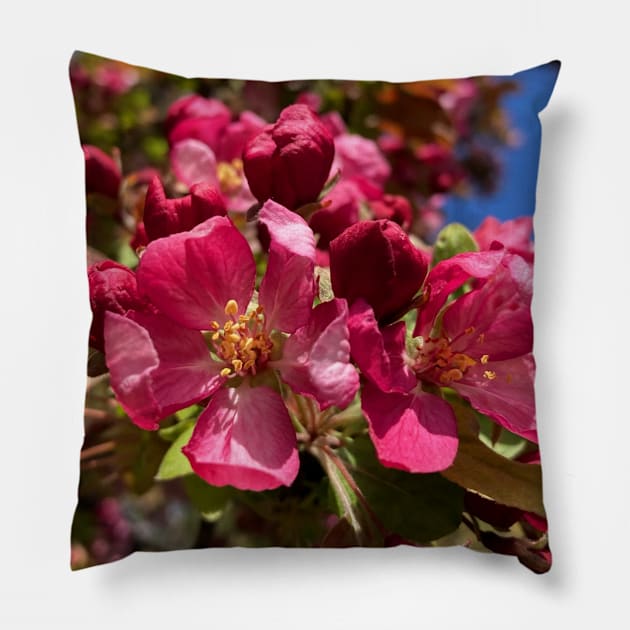 Utah Peace Garden Blossoms Pillow by ABHolliArt