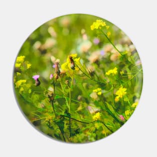 Wild plant illustration Pin