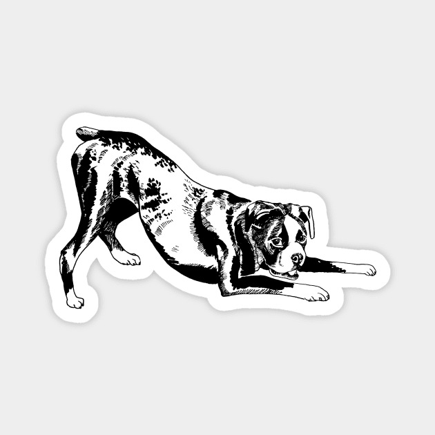 boxer dog Magnet by VicaVeresk