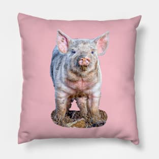 Dirty little piglet Pillow