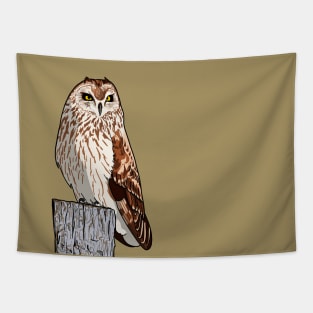 Short-eared Owl Tapestry