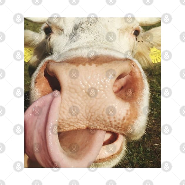 Portrait Of Cow Cute Funny Cow Gift by Karin Wright