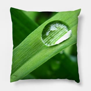 Water Droplet on Leaf Pillow