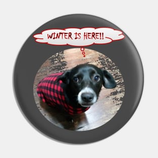 Puppy Winter is Here Pin