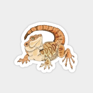 Bearded Dragon Sticker Magnet