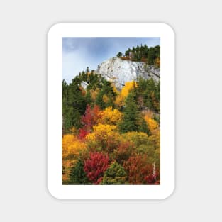 Deer Leap / Sherburne Pass, Vermont Magnet