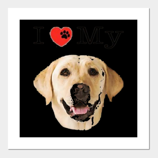 yellow lab portrait