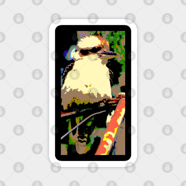 A Colourful Kookaburra! Magnet by Mickangelhere1