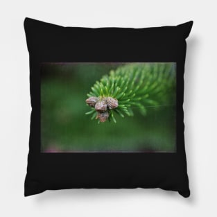 Evergreen Pillow