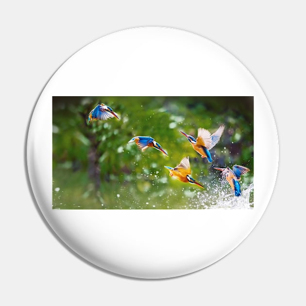 Kingfisher Hunt Pin by kawaii_shop