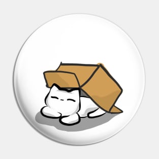 Cat and Cardboard Pin