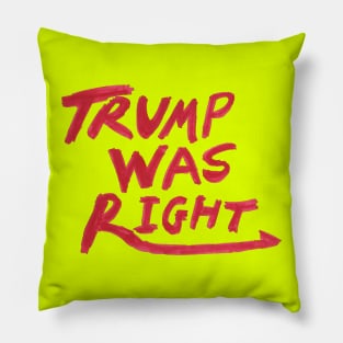 Trump was right Logo Pillow