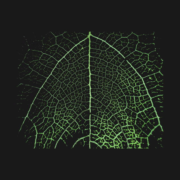 Leaf Veins- Nature Art Pattern by Nikokosmos