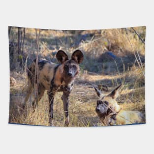 Two African wild dogs in Moremi Game Reserve, Botswana Tapestry