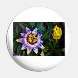 Passion Flower Summer Flowering Plant Pin