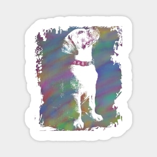 Watercolor Cool dog Magnet