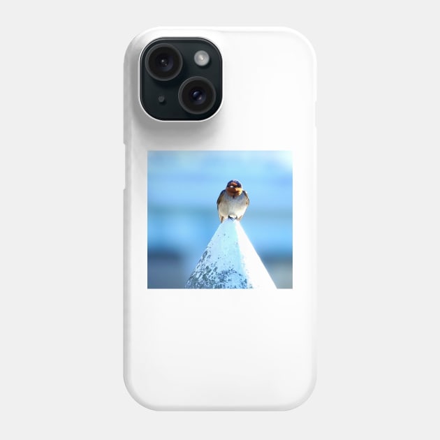 Welcome Swallow Phone Case by MelTGazing