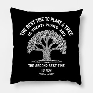 Best Time To Plant Pillow