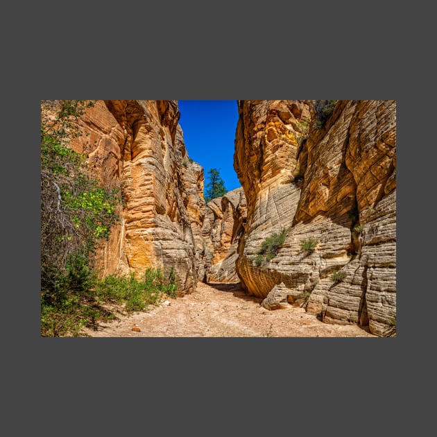 Lick Wash Trail Hike by Gestalt Imagery