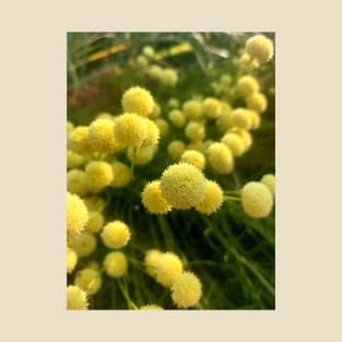 Yellow Pom-Pom Flowers T-Shirt