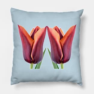 Tulipa &#39;Slawa&#39; Triumph Tulip Pillow