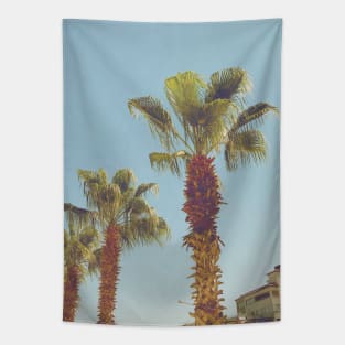 Pretty picture of a Palm Tree. Pretty Palm Trees Photography design with blue sky Tapestry