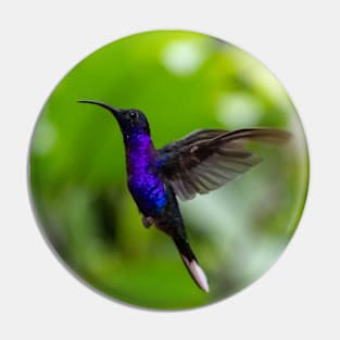 Purple Hummingbird Flying in Greenery Pin