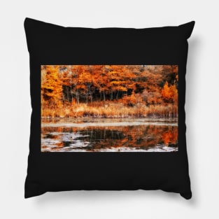 Autumnal Equinox Pillow