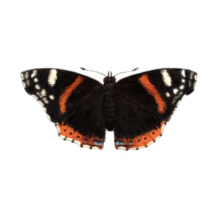 Red Admiral T-Shirt