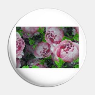 Plethora of Pink Peonies Pin